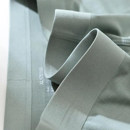 Premium Ice Silk Boxer Briefs
