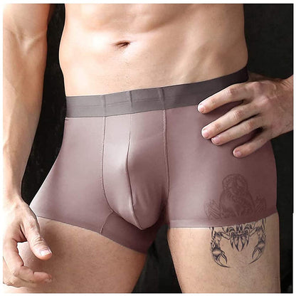 Premium Ice Silk Boxer Briefs