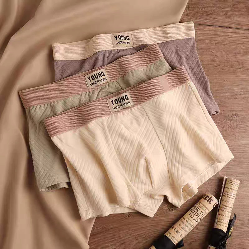 AirFlex Luxe Boxer Trunks